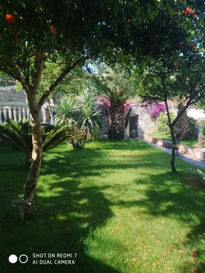 Villa Stella Rose لوستيكا المظهر الخارجي الصورة
